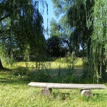 Zdravilni park Sveta Trojica